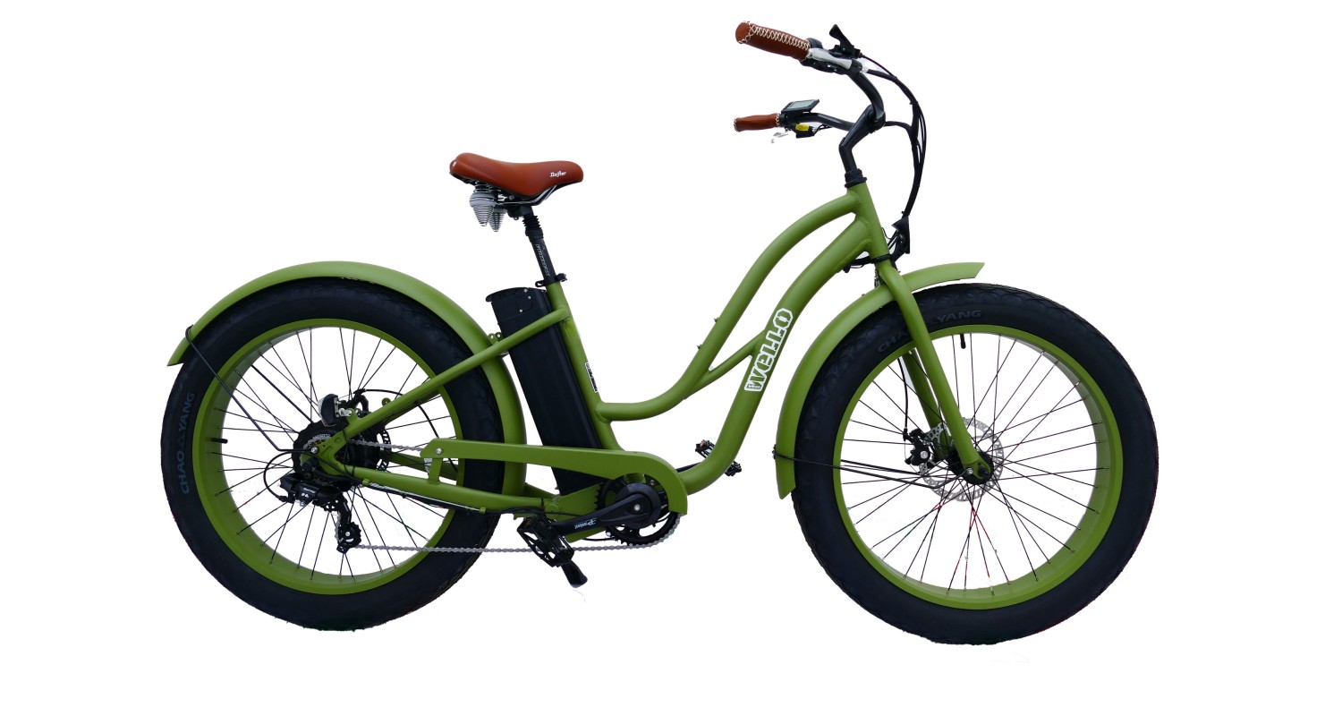 Kalinga Ashok VÃ©lo Fat Bike Ã©electrique Gorille Cycles Vtt